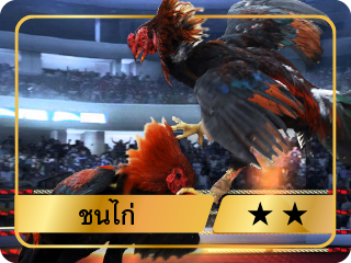 พนันบอล กิฬา สเต็ป step